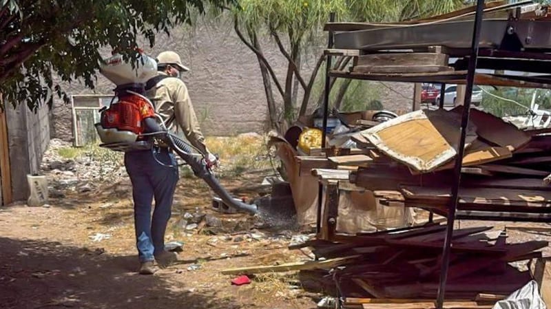 Autoridades sanitarias alertan en Delicias por proliferación de dengue y rickettsia tras lluvias recientes