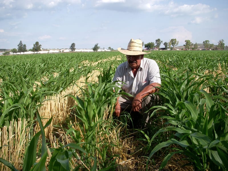 Chihuahua recibirá 900 millones de pesos para rescate del sector agropecuario