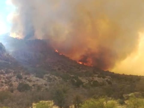 Controlan único incendio forestal activo en Janos tras seis días de operaciones