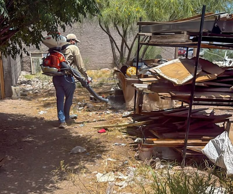 Delicias intensifica operativo contra garrapatas en colonias afectadas