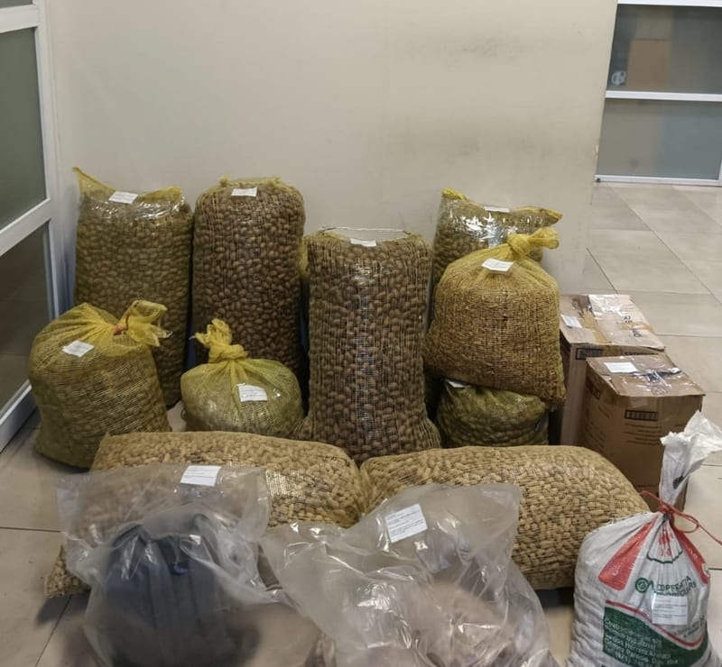 Detienen a dos con 400 kilos de nuez y 100 de cacahuate robados en la vía corta a Parral