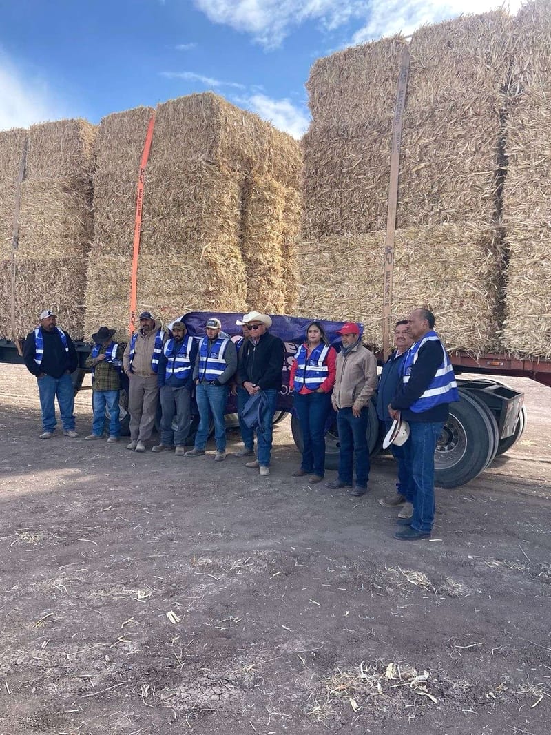 Entregan 2.1 millones de pesos en insumos agrícolas a productores de Cuauhtémoc