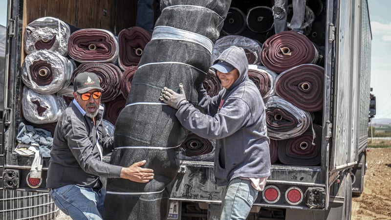 Entregan mallas antigranizo para proteger más de 170 hectáreas de huertos de manzana en Chihuahua
