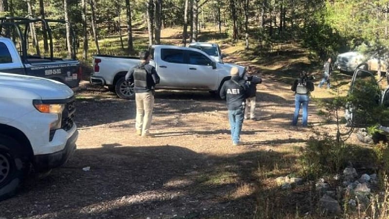Fiscalía descarta secuestro de siete personas en El Vergel, Balleza, tras operativo