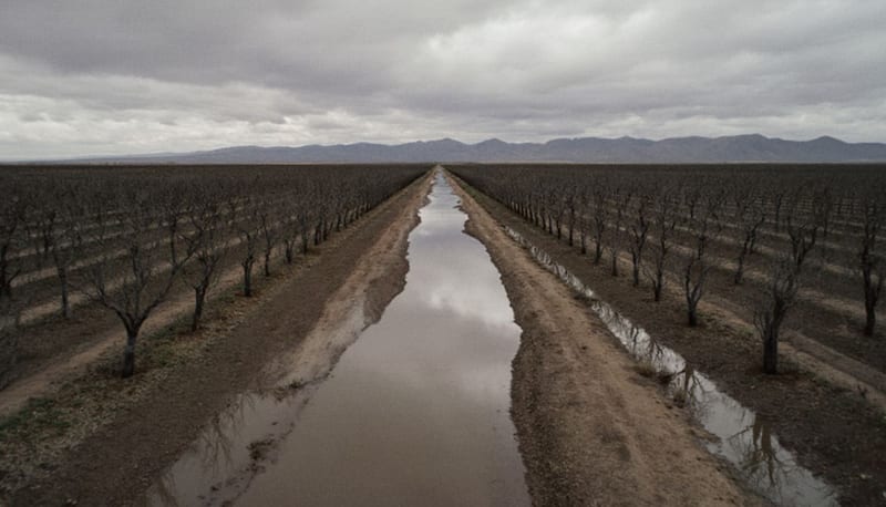 Fuertes lluvias provocan inundaciones en Graciano Sánchez, municipio de Nuevo Casas Grandes