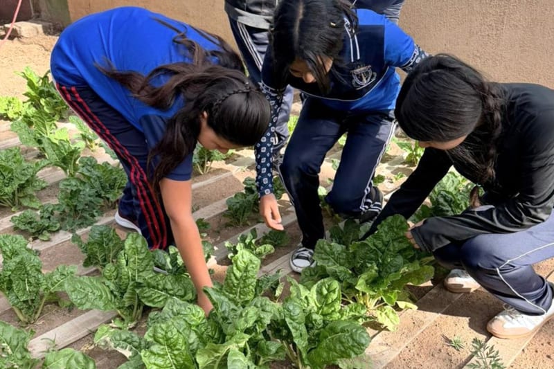 Huertos escolares transforman el aprendizaje ambiental en comunidades rurales de la capital chihuahua