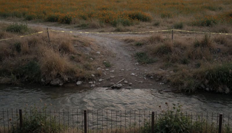 Orilla de un río junto a un campo de flores naranjas, con cinta policial atravesando el camino