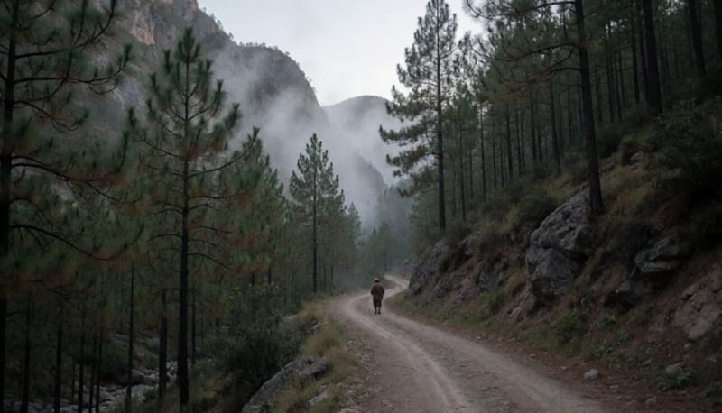 Camino de terracería entre pinos y laderas rocosas de la sierra, con neblina baja y una figura lejana caminando