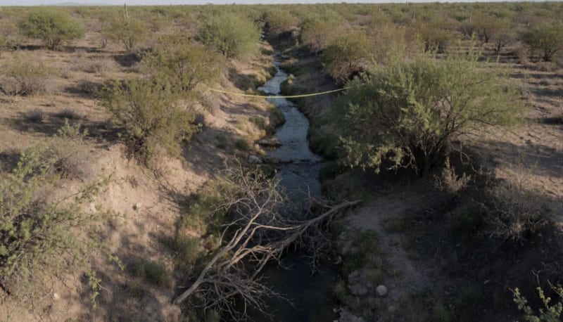 Cauce de arroyo con vegetación y maleza en una zona rural del desierto chihuahuense al atardecer