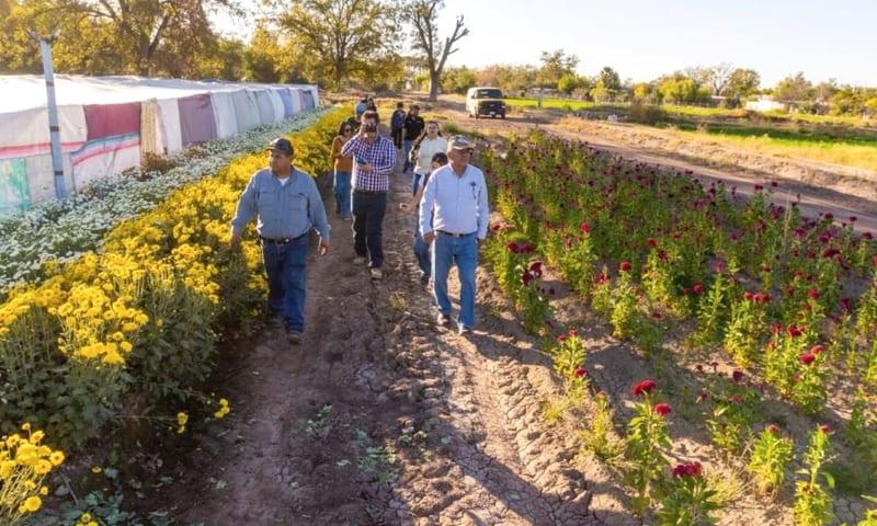Meoqui: recorrido “Entre tumbas y flores” del 28 al 30 de octubre y Feria del Hueso el 1 y 2 de noviembre