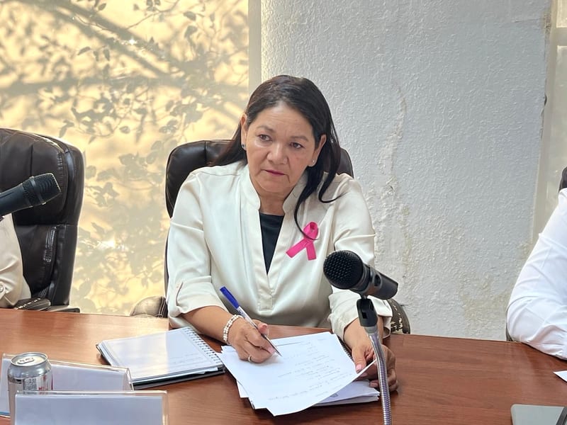 Micaela Guerrero asume coordinación de la fracción priista en el Cabildo de Parral
