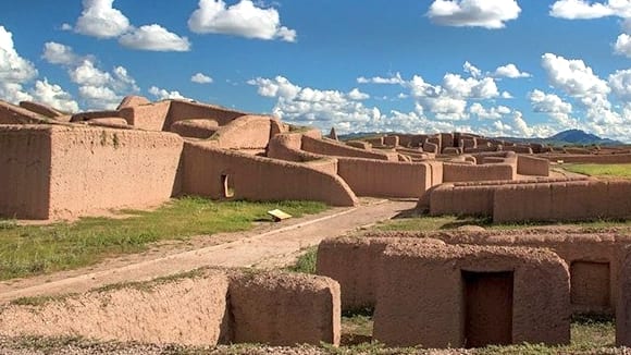 Nuevo Casas Grandes participa en foro estatal de protección y bienestar animal