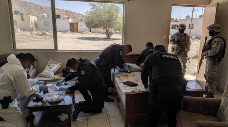 Realizan cateo en vivienda de Paseos de Zaragoza tras hallazgo de cadáver