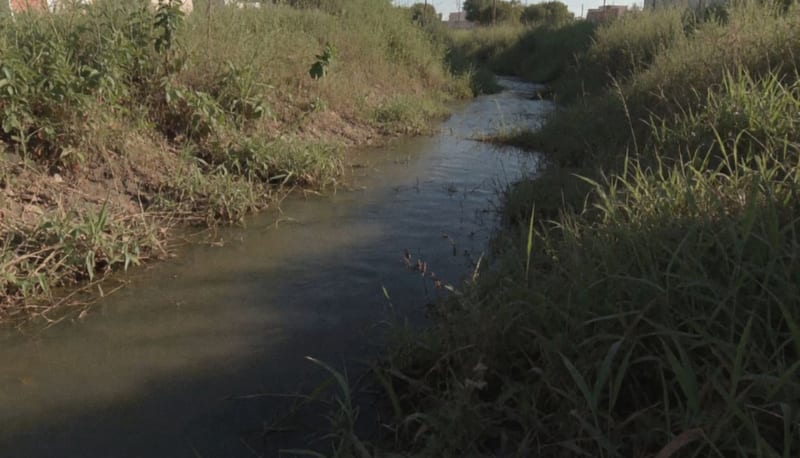 Cauce del arroyo con agua estancada, vegetación y escombros acumulados en los márgenes
